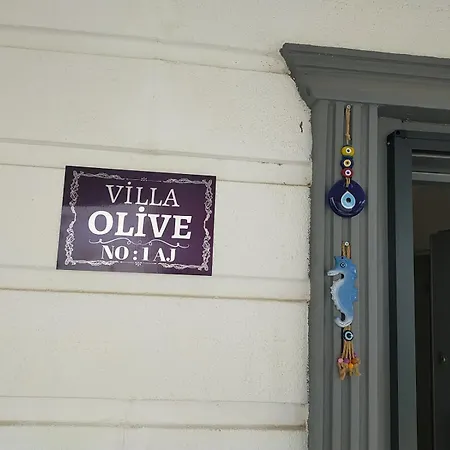 Olive *